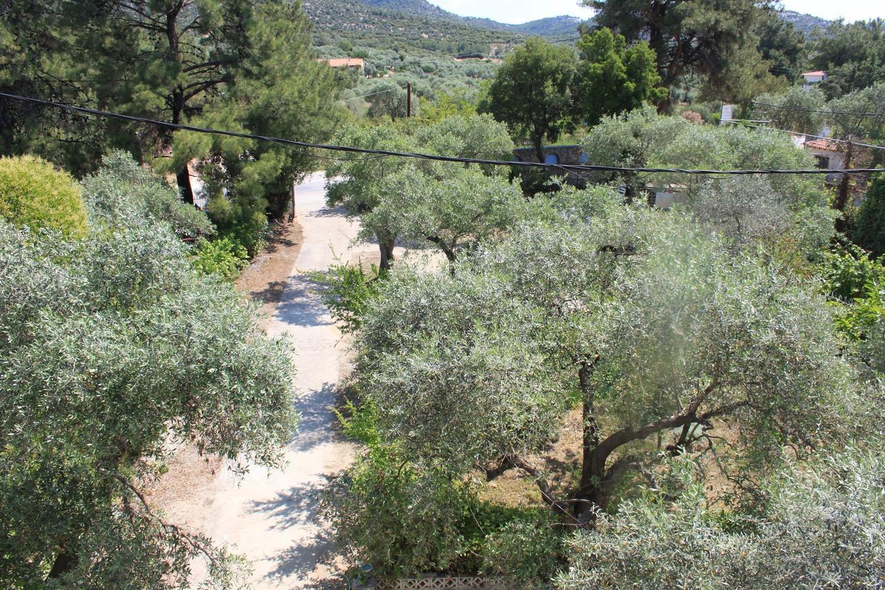 House Ekton Pefkari Exterior foto